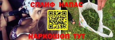 прущие грибы Моздок
