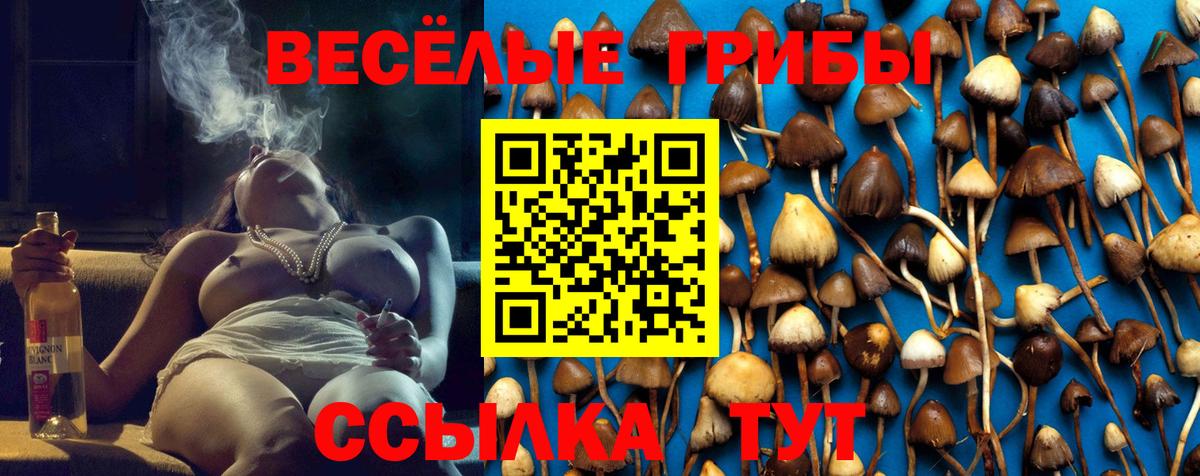 Псилоцибиновые грибы MAGIC MUSHROOMS  Вход с VPN  купить наркотик  Курганинск 